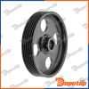 Pompe de direction assistée pour CITROEN | RKP-CT-011, 40076A